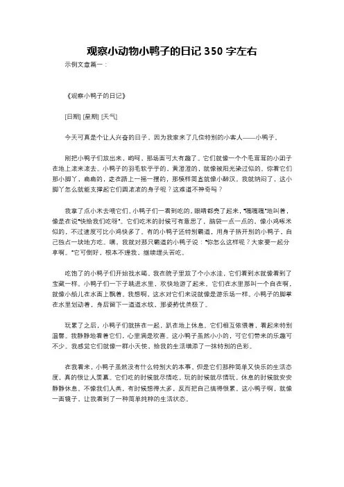 观察小动物小鸭子的日记350字左右