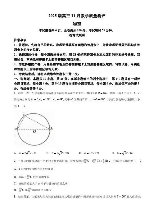 湖北省华大新高考联盟2024-2025学年高三上学期11月测评物理试题(含解析)