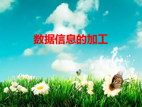 数据信息的加工