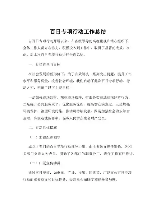 百日专项行动工作总结