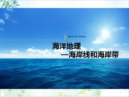 高二地理选修海岸