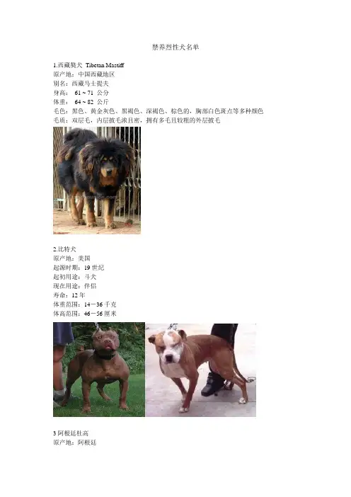 061122烈性犬名录