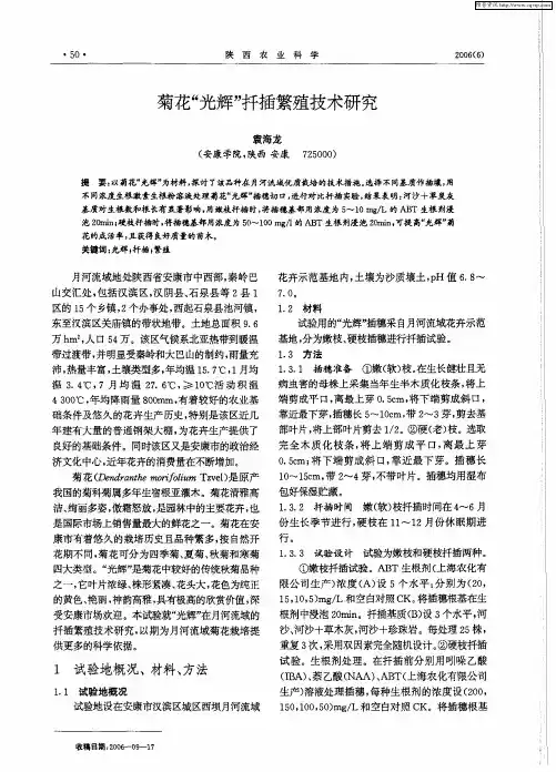 菊花“光辉”扦插繁殖技术研究