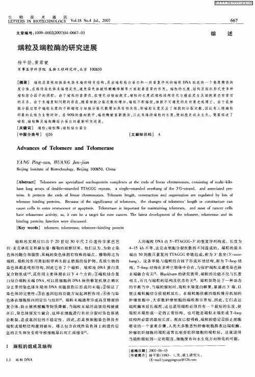 端粒及端粒酶的研究进展