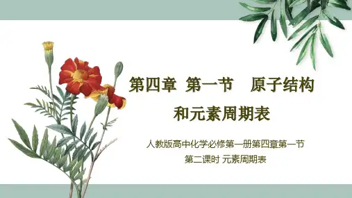 第四章第一节原子结构与元素周期表第二课时元素周期表课件高一上学期化学人教版