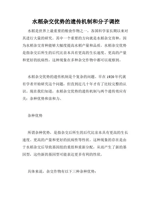水稻杂交优势的遗传机制和分子调控