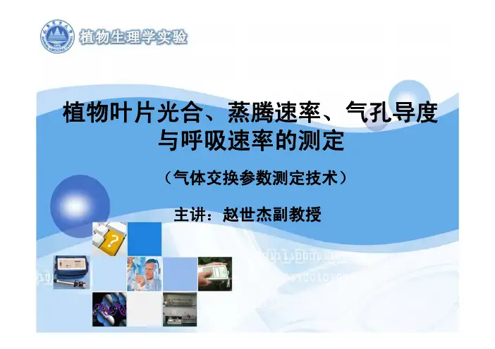 植物叶片光合蒸腾速率气孔导度与呼吸速率的测定