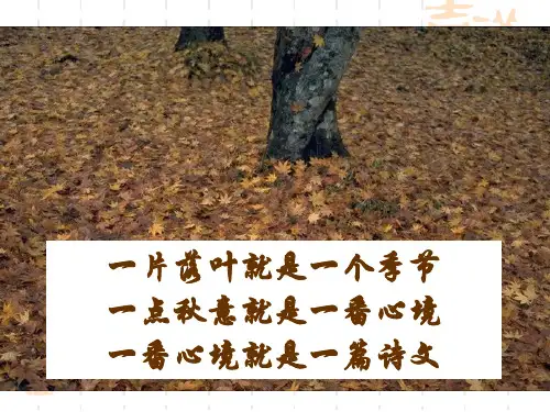 高中语文人教新课标必修二第一单元第2课：《故都的秋》课件PPT精品文档34页