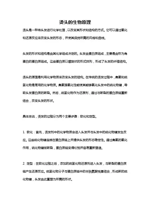 烫头的生物原理