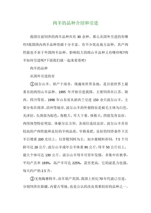 肉羊的品种介绍和引进
