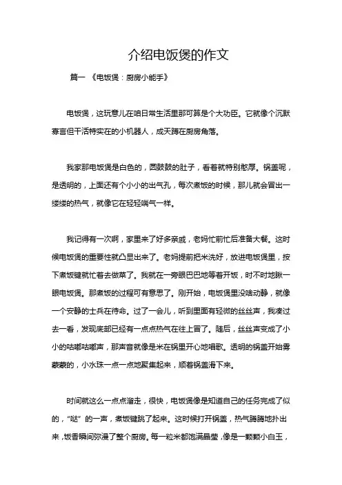 介绍电饭煲的作文