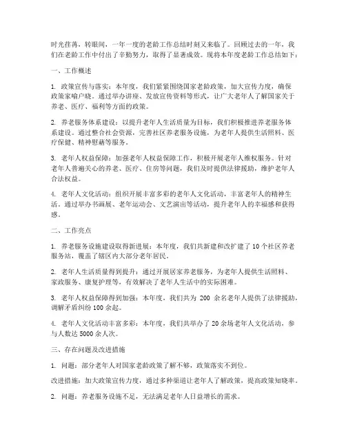 老龄工作总结范文
