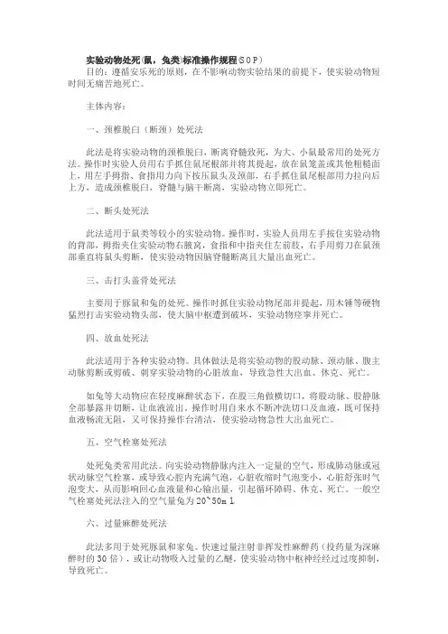 实验动物处死和取血