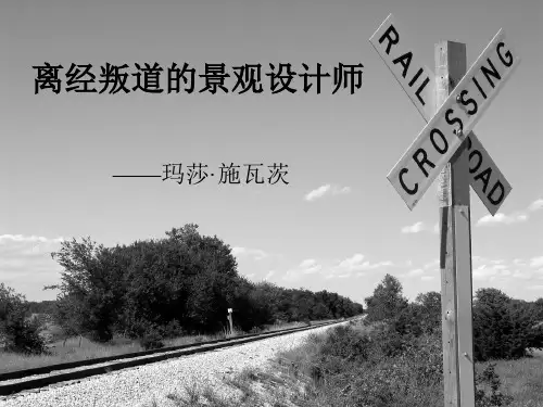景观设计师____玛莎·施瓦茨作品赏析