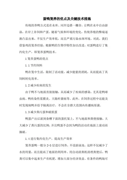 蛋鸭笼养的优点及关键技术措施