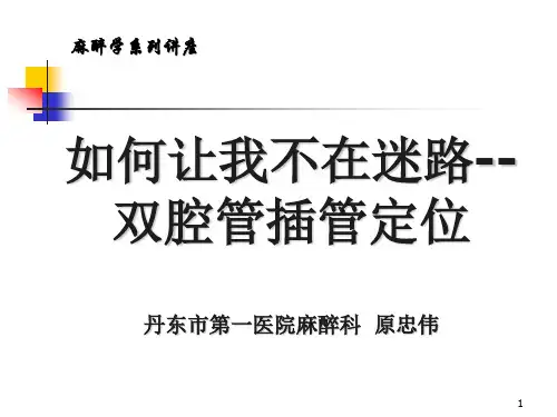 双腔管