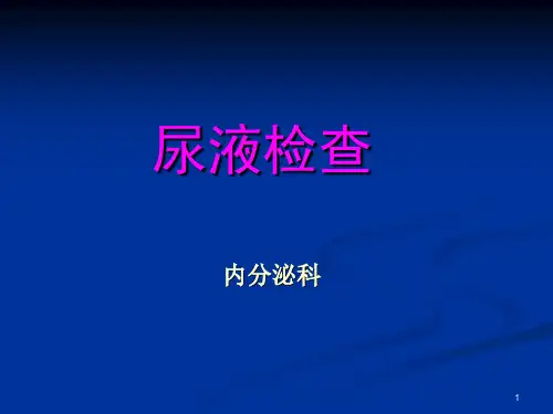 尿液检查ppt课件