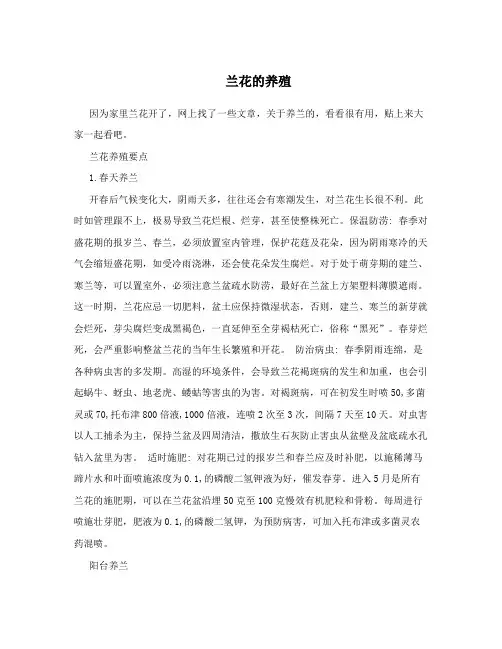 兰花的养殖