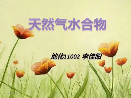 海洋地球化学-可燃冰--天然气水合物PPT课件