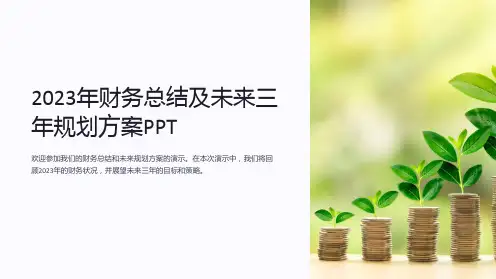 2023年财务总结及未来三年规划方案