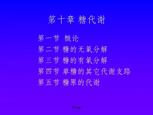 生物化学第十一章 糖代谢