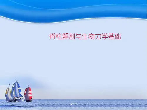 脊柱解剖与生物力学基础  ppt课件