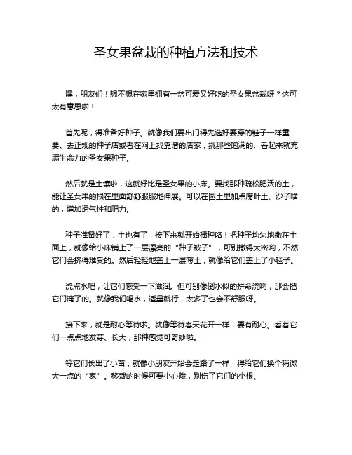 圣女果盆栽的种植方法和技术