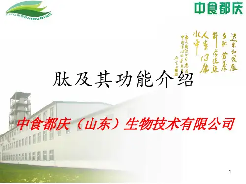 肽及其功能介绍