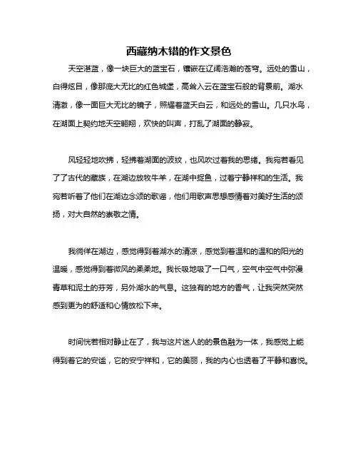 西藏纳木错的作文景色