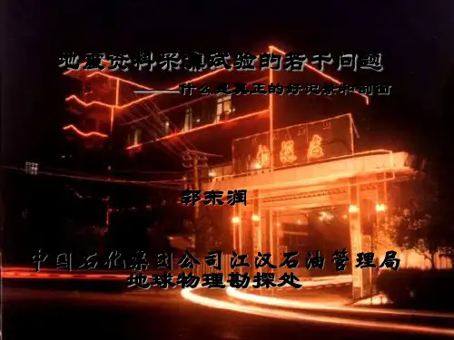 1.地震记录剖面如何看ppt课件