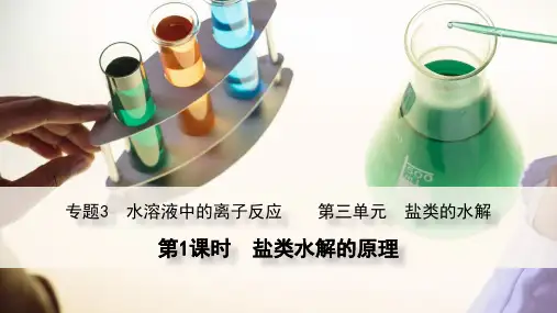 盐类水解的原理++课件++2022-2023学年高二上学期化学苏教版(2019)选择性必修1