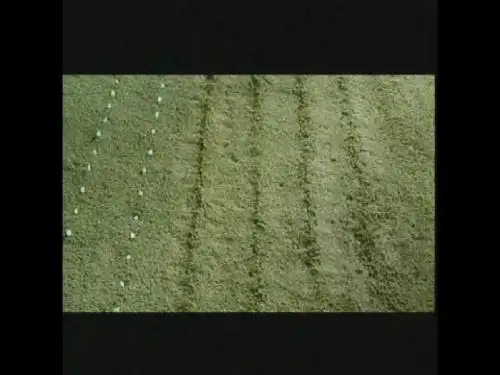 植物种子的萌发 PPT课件4 苏教版