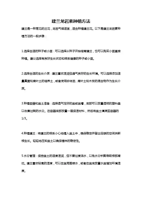 建兰龙岩素种植方法