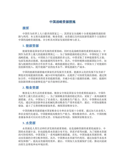 中国战略资源措施