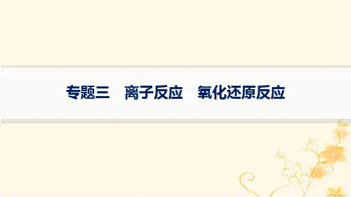 适用于新高考新教材2024版高考化学二轮复习专题突破练3离子反应氧化还原反应课件