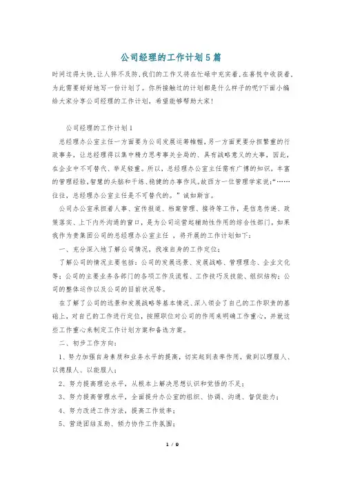 公司经理的工作计划5篇