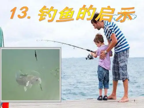 钓鱼的启示ppt课件