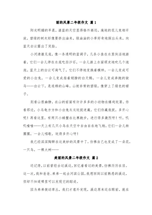大自然的美丽景色作文二年级