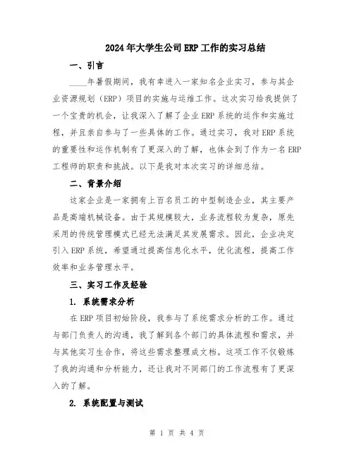 2024年大学生公司ERP工作的实习总结