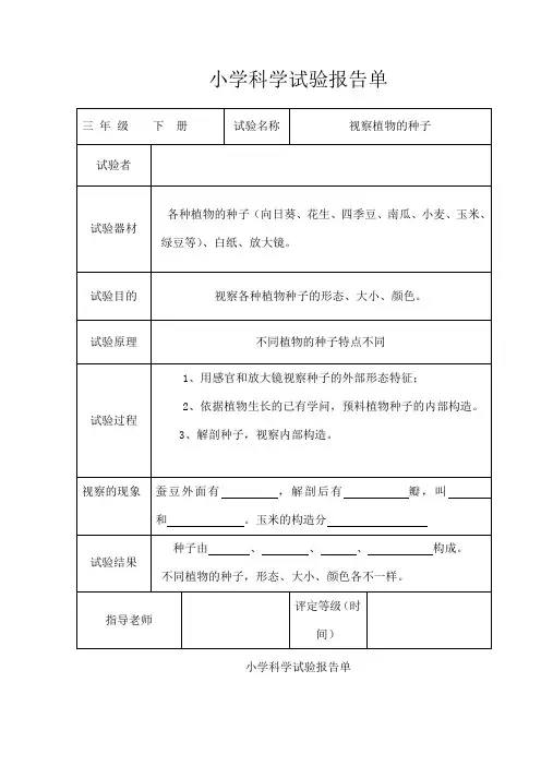 教科版小学三年级科学下册全册实验报告单