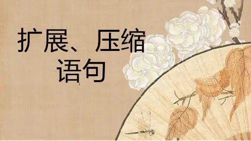 2023年中考语文三轮冲刺专项：扩展和压缩语句课件(共24张PPT)