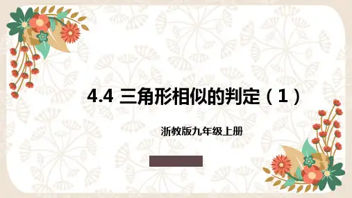 三角形相似的判定课件浙教版数学九年级上册(完整版)