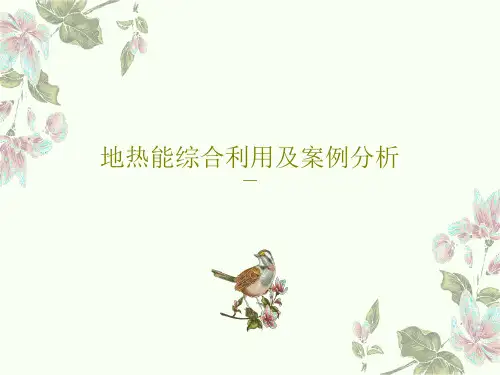 地热能综合利用及案例分析PPT26页