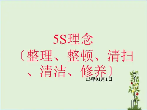 5S管理理念及定置管理