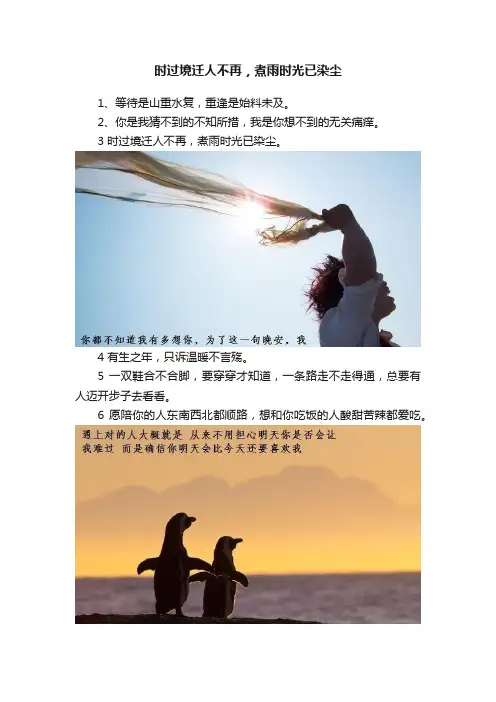 时过境迁人不再，煮雨时光已染尘