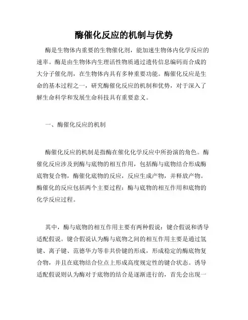 酶催化反应的机制与优势