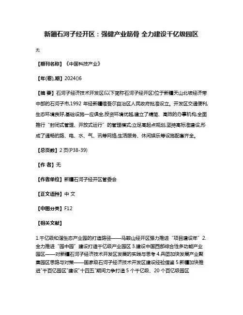新疆石河子经开区:强健产业筋骨 全力建设千亿级园区