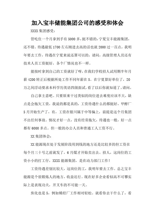 加入宝丰储能集团公司的感受和体会