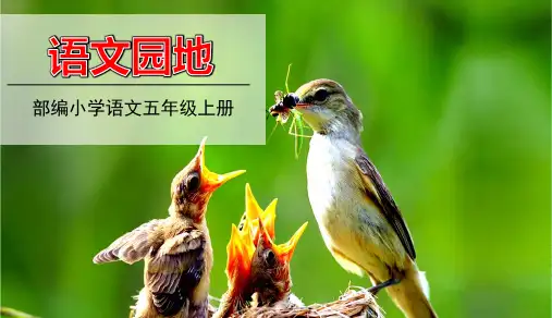 部编版五年级语文上册第6单元《语文园地》优秀ppt课件