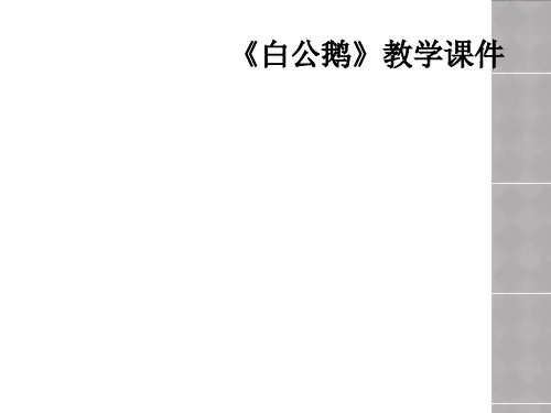 《白公鹅》教学课件